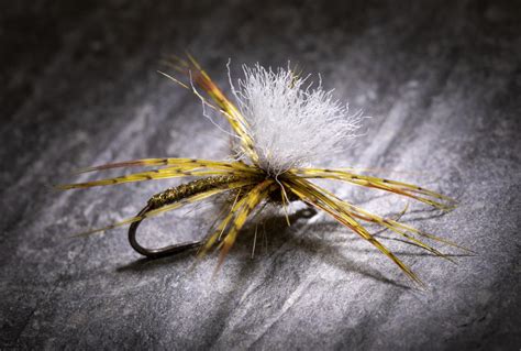 Simple Shrimp Fly Patterns 的图像结果