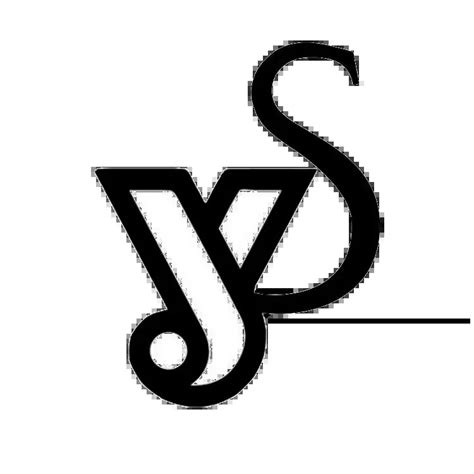 Company Overview - TAIYUAN SHANGYE TECHNOLOGY CO.