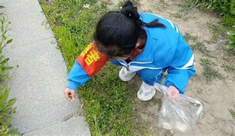 点赞！这群小学生不怕脏，不怕累，在公园捡垃圾 - 太白湖新区 - 县区 - 济宁新闻网