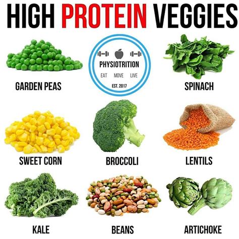 Protein From Vegetables