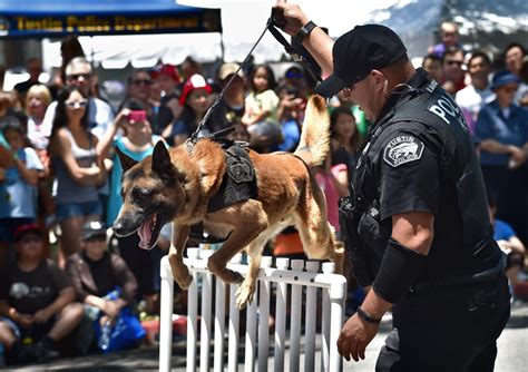 Image result for Open TPD File