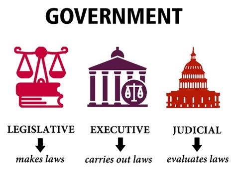 Basic Government Structure 的图像结果