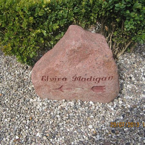 VEJLEN PAA TAASINGE (2026) All You Need to Know BEFORE You Go (with ...