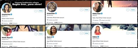 Twitter "accidentally" verifies six fake accounts, including this cat ...