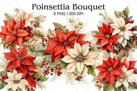 Poinsettia Plant Clip Art