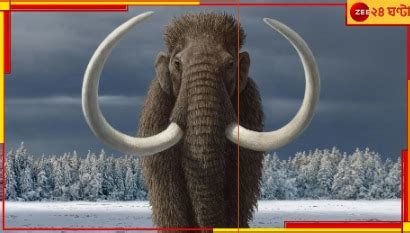 Mammoths Back: পাহাড়ের মতো দেখতে দানবাকৃতি ভয়ংকর সেই ম্যামথেরা ফিরছে ...