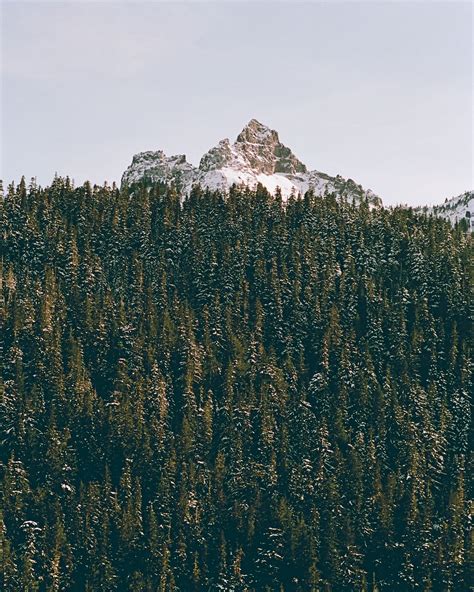 Mount Rainier • Leica M6 • 50mm Summilux • SantaColor 100 • Memphis ...
