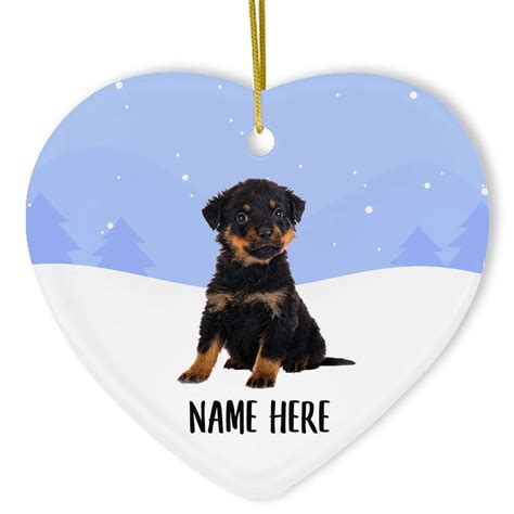 Cute Rottweiler Puppy Names