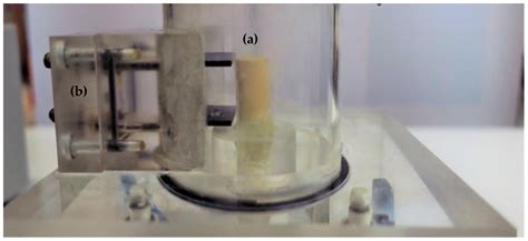 Enhancing Fines Recovery by Hybrid Flotation Column and Mixed Collectors