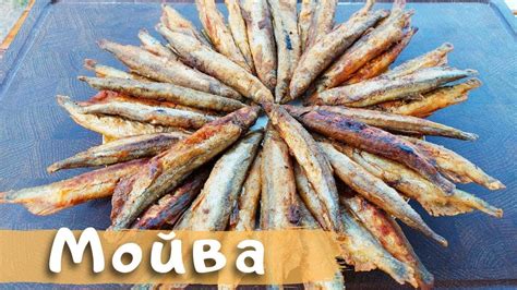 Мойва на решетке на мангале: вкусный и сочный рецепт с пошаговыми фото ...