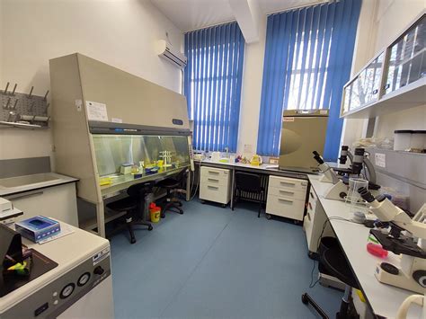 Cell Room Lab Design 的图像结果