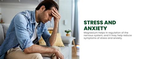 Vlado's Himalayan Organics Plant Based Magnesium Supplement 1360mg With ...