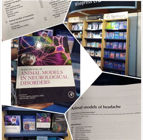 Handbook Of Animal Models İn Neurological Disorders | Nörobilim Ve Nöroteknoloji Mükemmeliyet ...
