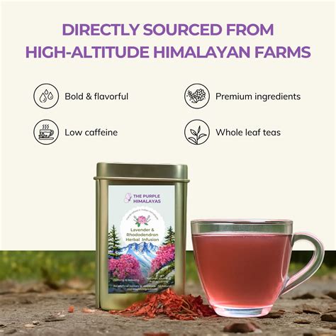 Lavender & Rhododendron Herbal Infusion| Herbal Infusion for Detox Fro ...