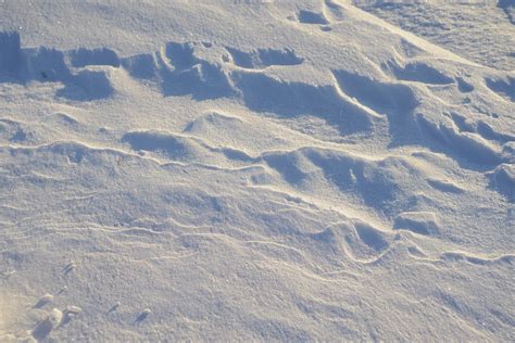 Free Images : snow, winter, mountain range, europe, ice, weather, nikon ...