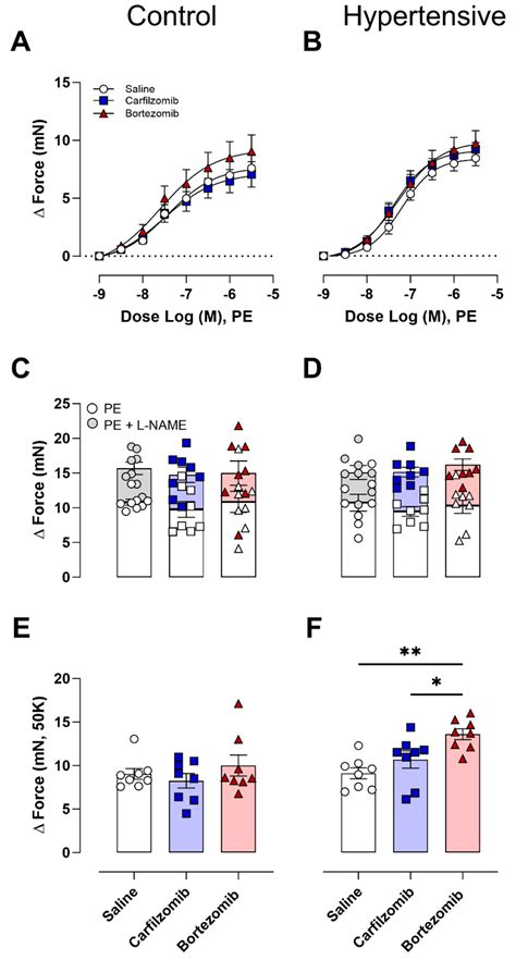 Short-Term Proteasome Inhibition: Assessment of the Effects of ...