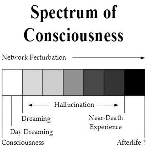 Pin by A B B S on Spiritual | Words, Writing, Graphing