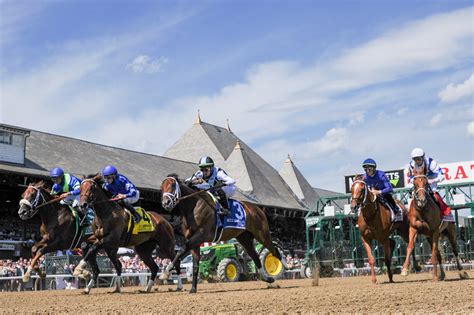 Saratoga Picks | Wilton Stakes 2024