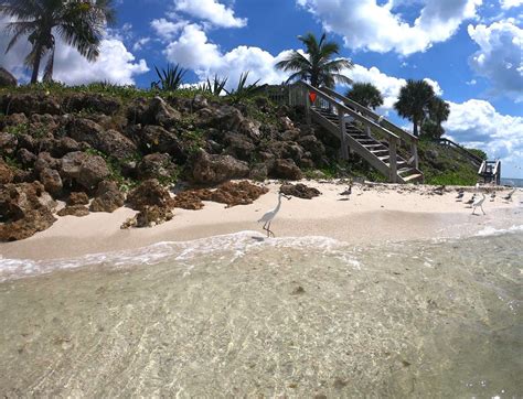 What to do at Siesta Key