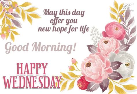 190+ Good Morning And Happy Wednesday Messages - Good Morning Wishes
