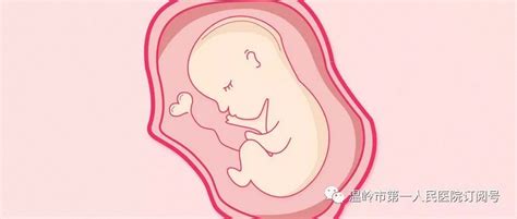 怀孕30周4天能从四维彩超数据看出胎儿情况是否正常，能分辨出孩子性别吗？_百度宝宝知道