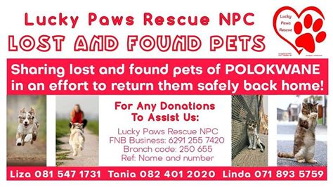 Hills Puppy School Open Day, Ladanna Bulawayo Street, Polokwane, 22 ...