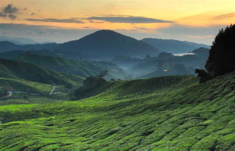 Actividades en Perak, Malasia - Central de Reservas