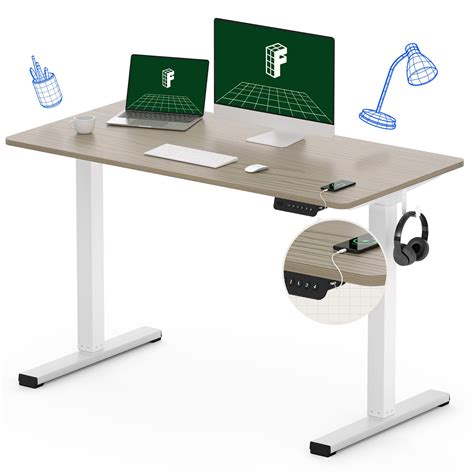 Buy FLEXISPOT Standing Desk Quick Assembly Electric Adjustable with 48 ...