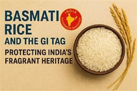 Basmati Rice and the GI Tag: Protecting India’s Fragrant Heritage
