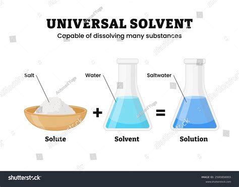 Solubility Vector Illustration Universal Solvent Labeled Stock Vector ...