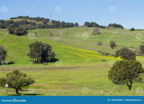 Landscape in Santa Teresa Park, San Jose, Santa Clara County, San ...