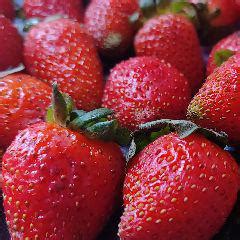 Subha Shree Sundari Chandra Mohan (Sss_acs) Quotes | YourQuote