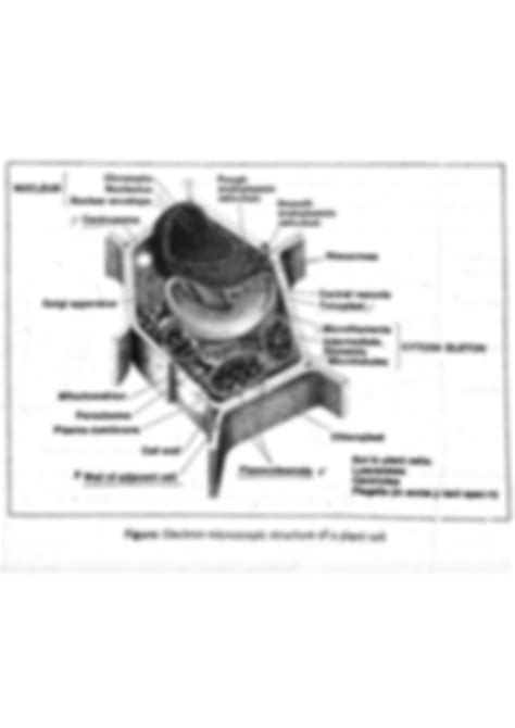 Generalized Cell Structure 的图像结果