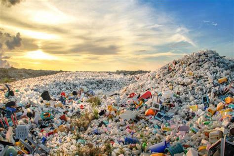 全球在行动――应对一次性塑料包装对环境的挑战-国际环保在线