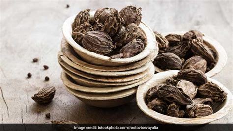 Black Cardamom Benefits: बड़े काम की है बड़ी इलायची, फायदे जान हैरत में ...