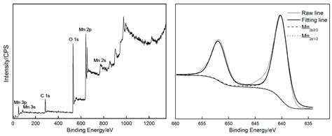 Nucleation and Growth of Porous MnO2 Coatings Prepared on Nickel Foam ...