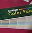 Image result for Holland Lop Color Chart