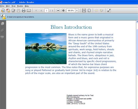 Image result for Digital Signature Example PDF