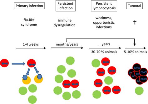 Vaccination against δ-Retroviruses: The Bovine Leukemia Virus Paradigm