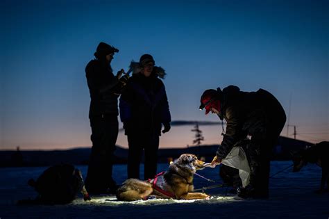 Jessie Holmes wins his third Kobuk 440 race: ‘This is my best racing ...