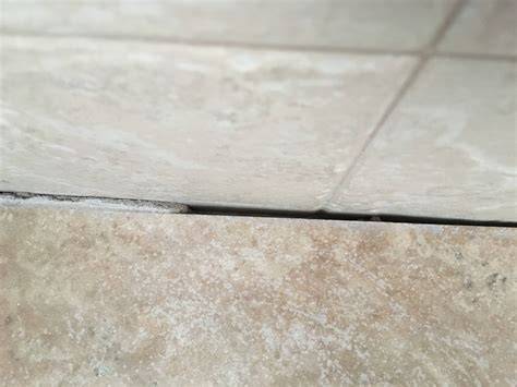 How To Seal A Shower Tile at Lucille Trujillo blog