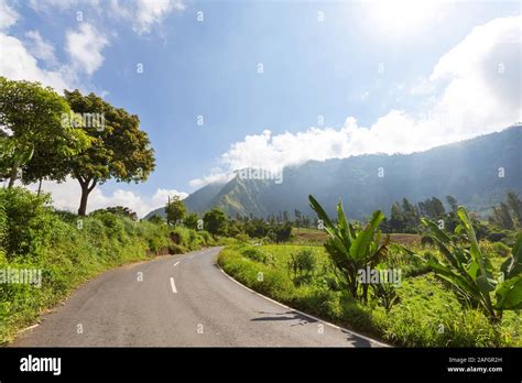 Java Island 的图像结果