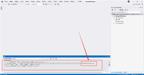 Compile exe Visual Studio 的图像结果