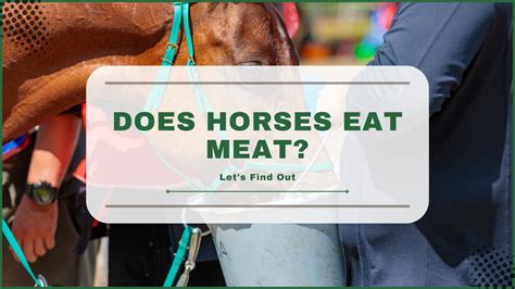 Do Horses Eat Meat? Exploring Equine Dietary Habits