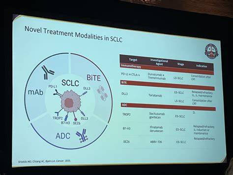 Bingnan Zhang: Discussing SCLC Treatment Advances and Opportunities Using BiTE and ADCs at TLC ...