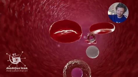 Image result for Blender Cell Animation Tutorial YouTube