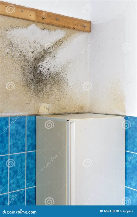 Moldy Mildew on a Bathroom Wall Stock Photo - Image of plaster, rotten ...