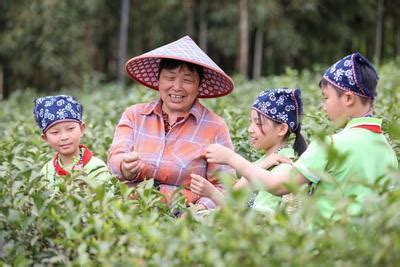 又到一年茶飘香 湖州高速为采茶工出行保驾护航
