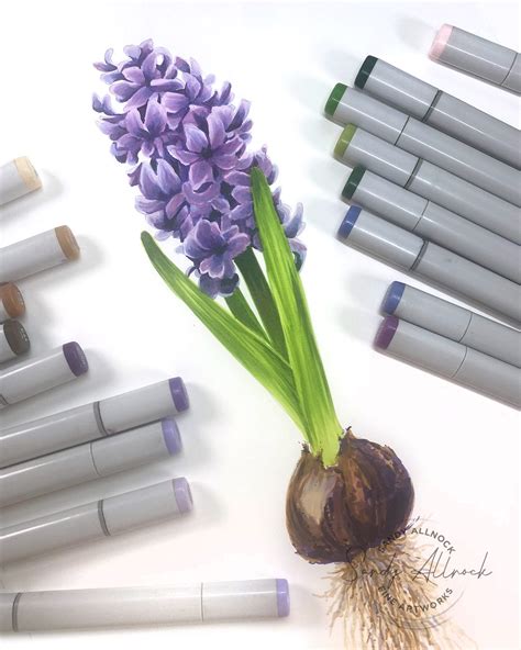 Image result for How to Draw Inflorescences