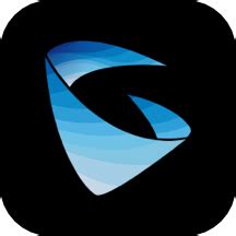 Grandstream Wave 的图像结果